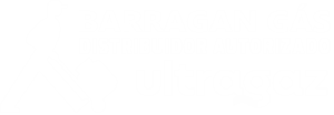 logo-barragan-gas-br-web1master